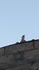 DSC_0006.JPG
