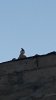 DSC_0007.JPG