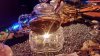20160521_020457.jpg