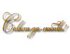 13277298.png