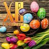 IMG-20170416-WA0031.jpg