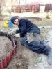 Кошка на даче.jpg