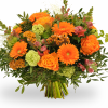 1387116928 (1).png