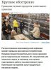 www.kommersant.ru_doc_4291850.jpg