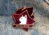 6f931804lca-960.jpg