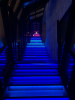 96A82EC6-DA7E-48DB-BB48-1C15D3856D6E.png