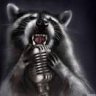 Raccoon